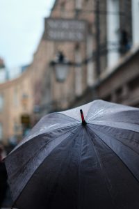photo by craig whitehead on unsplash 2