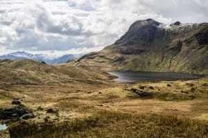 photo by john paul walsh on unsplash 2