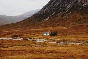 photo by max hermansson on unsplash 2