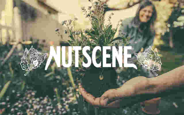 Nutscene brand lock up low res 1