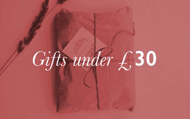 460x400 Gifts under 30 lock up 1 1