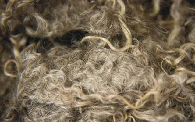 460x400 blacker yarns raw wool