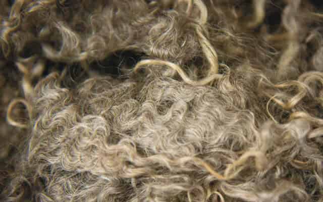 460x400 blacker yarns raw wool 460x400 blacker yarns raw wool