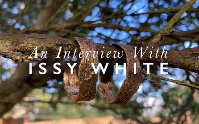 Issy White Interview Lock Up