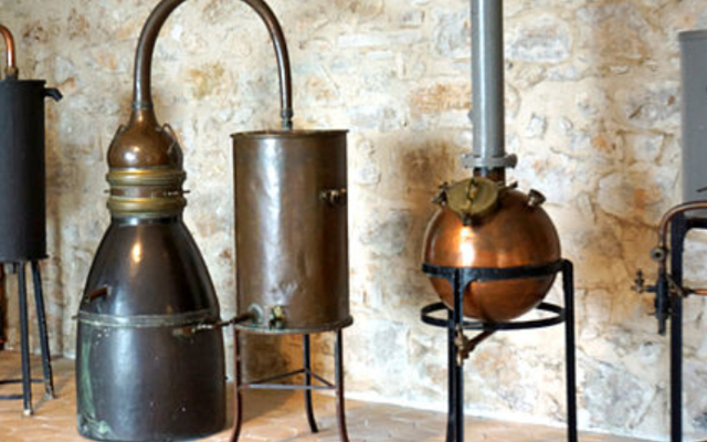 PerfumeStill800by800 PerfumeStill800by800