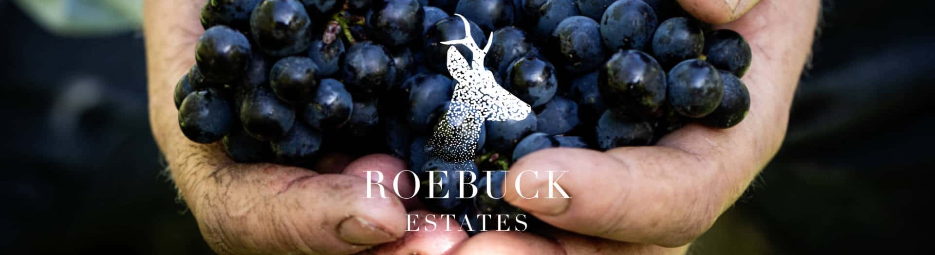 Roebuck estates man holding grapes with Roebuck estates logo