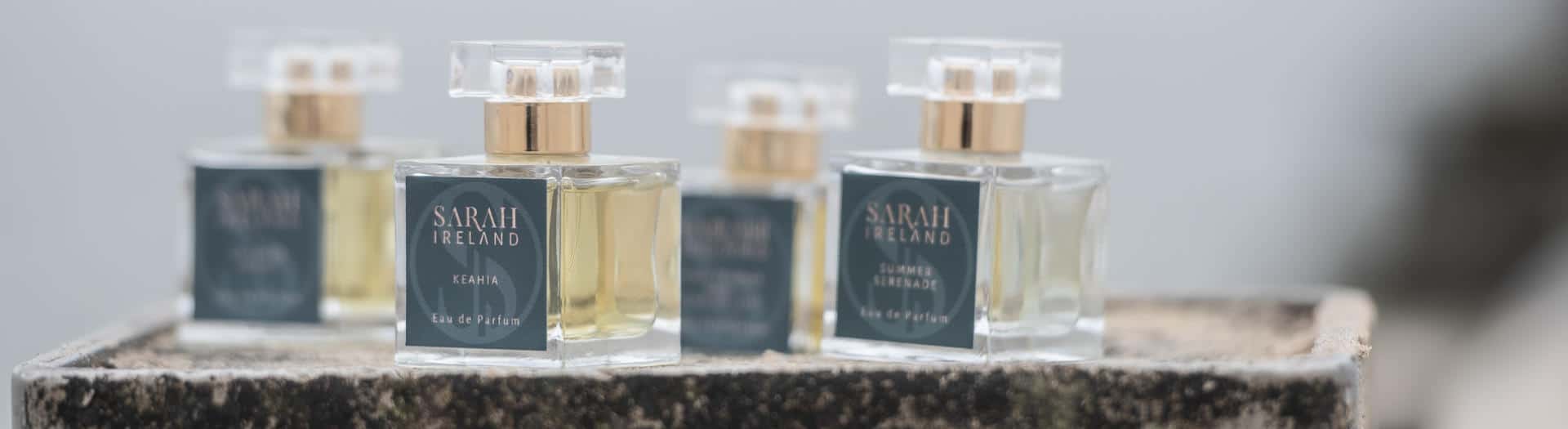 Sarah Ireland interview header Sarah Ireland interview header