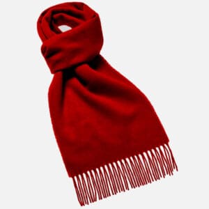scarlet scarf abraham moon
