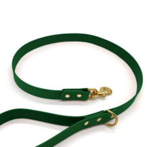 olive green leather dog lead