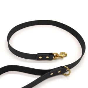 black leather dog lead