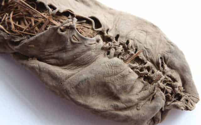 history of leather Oldest shoe history of leather Oldest shoe