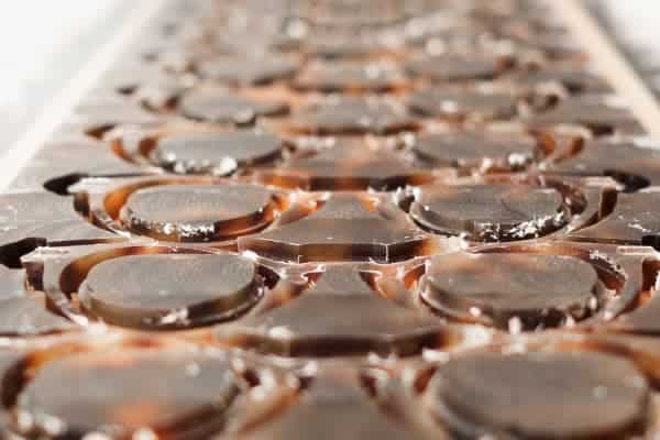 rows of tortiose shell sunglasses 640x400 1 rows of tortiose shell sunglasses 640x400 1