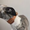 Raven Black Leather Sighthound Collar - Image 4