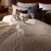 Super King Size Wool Duvet 300 GSM Lightweight 4-7 TOG - Image 3